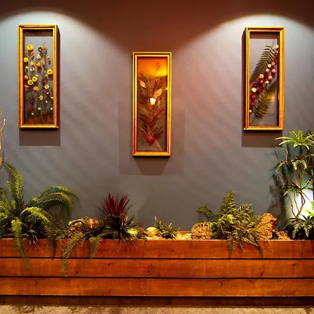 Baykara Hotel Hotel 3*